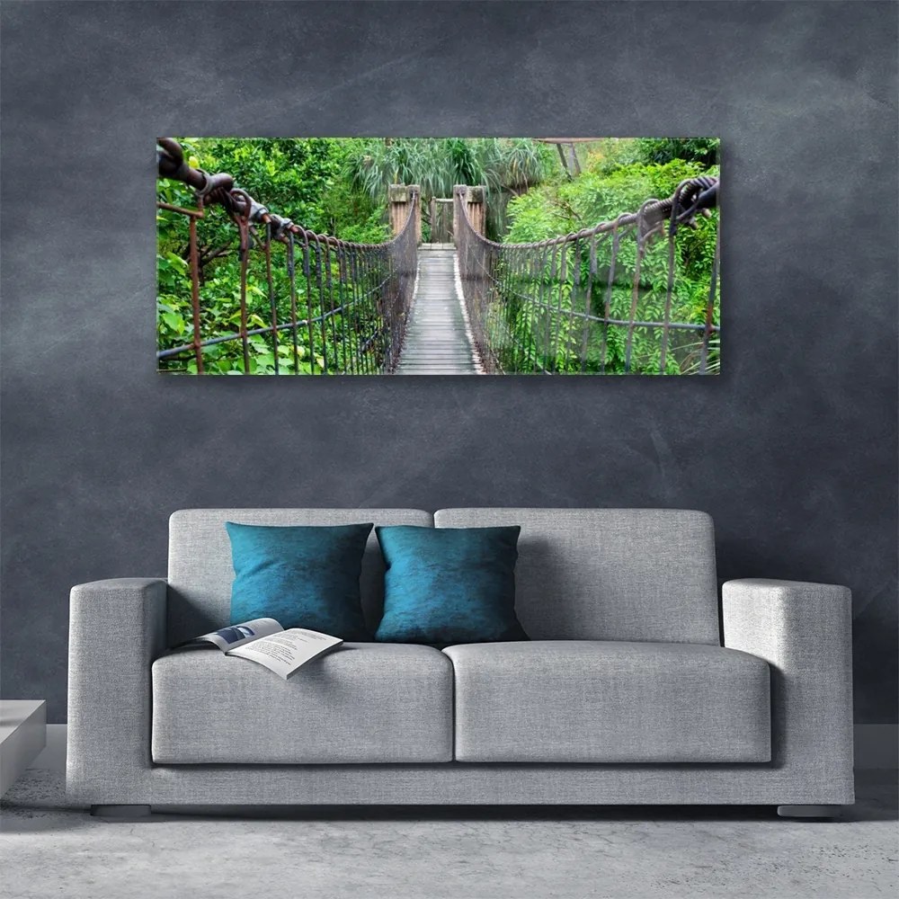 Obraz plexi Most stromy architektúra 125x50 cm