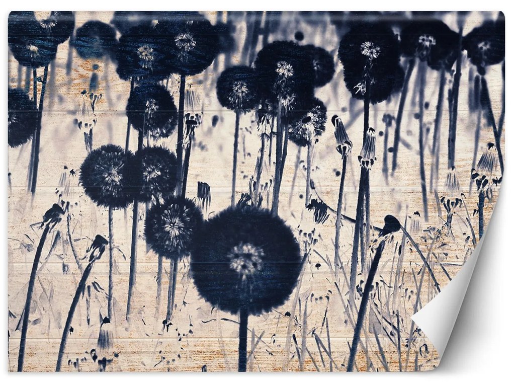 Gario Fototapeta Monochromatické púpavy na starších doskách Materiál: Vliesová, Rozmery: 100 x 70 cm