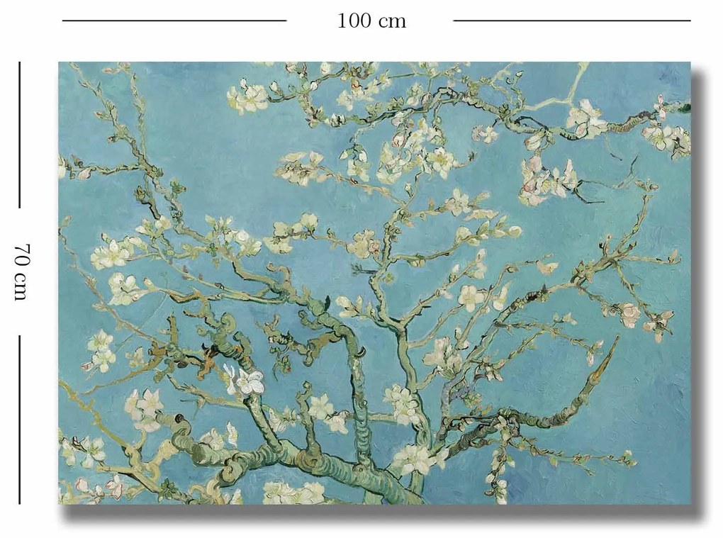70100VANGOGH050