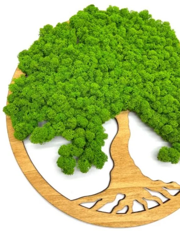 Strom na stenu z machu Melusine 50 cm