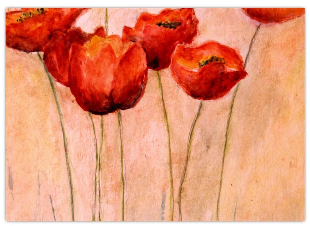 Sklenený obraz - Červené tulipány (70x50 cm)