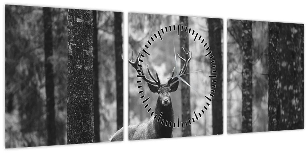 Obraz - Jeleň v lese 2, čiernobiela (s hodinami) (90x30 cm)
