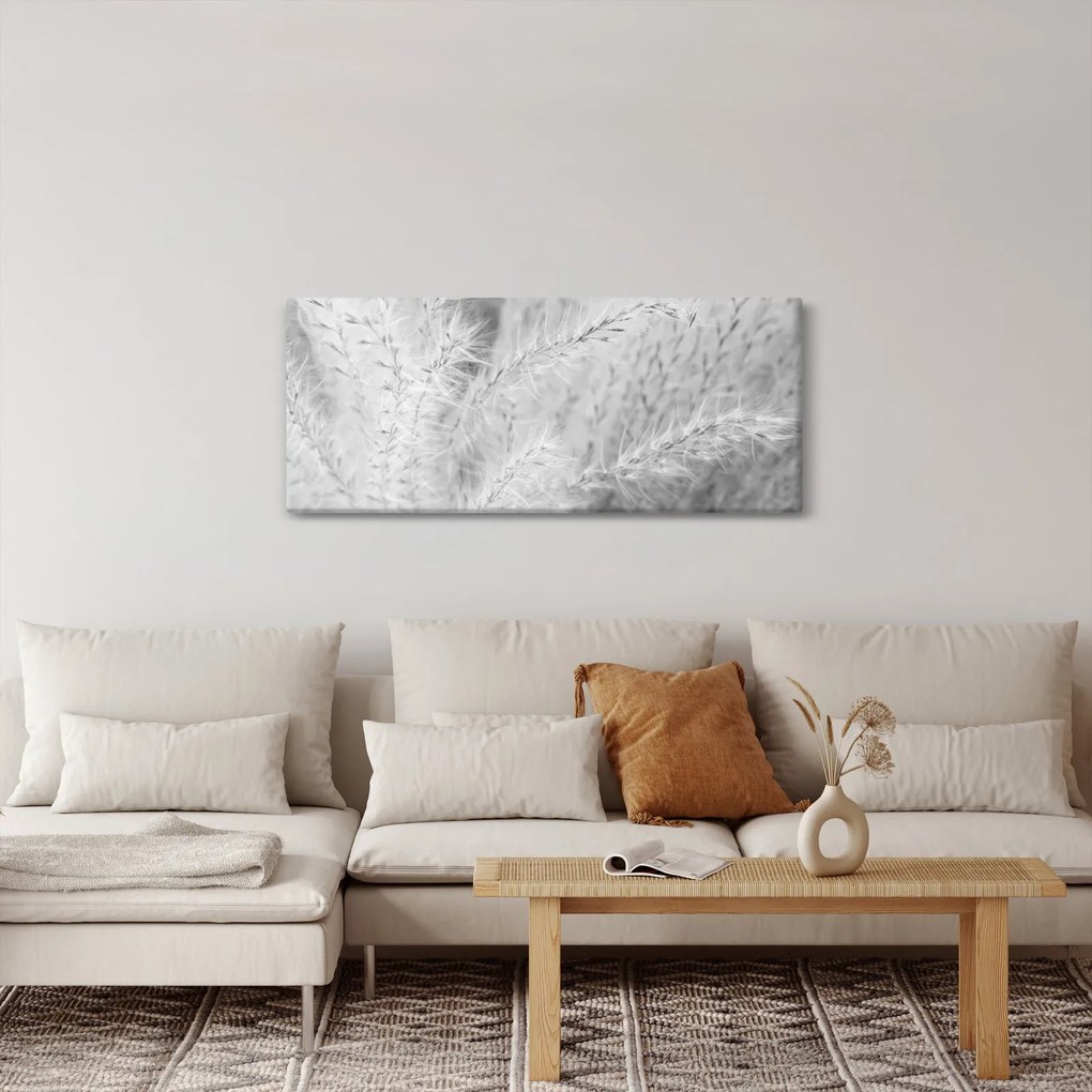 Obraz - Pampas grass N⁰1 (120x50 cm)