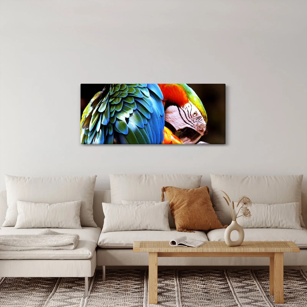 Obraz - Papagáj (120x50 cm)