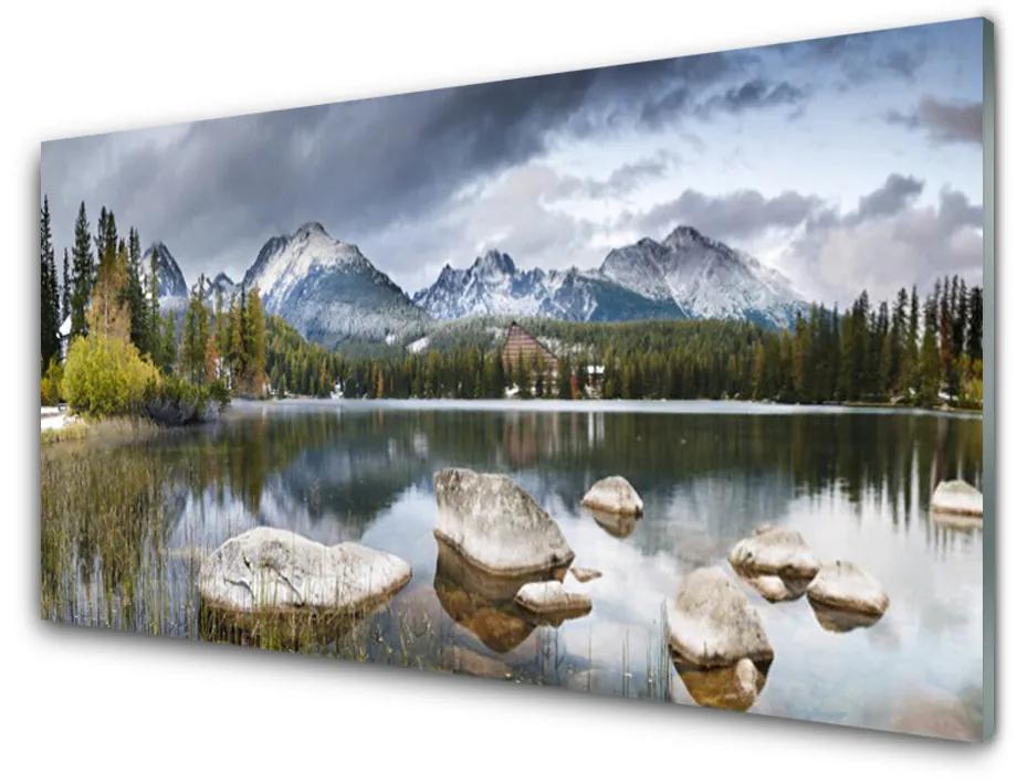 Obraz plexi Jazero hory les príroda 140x70 cm