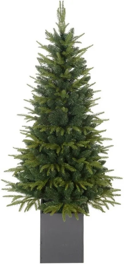 Vianočný stromček Smrek, 150 cm