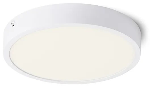 RENDL R12800 HUE LED prisadené svietidlo, technické biela