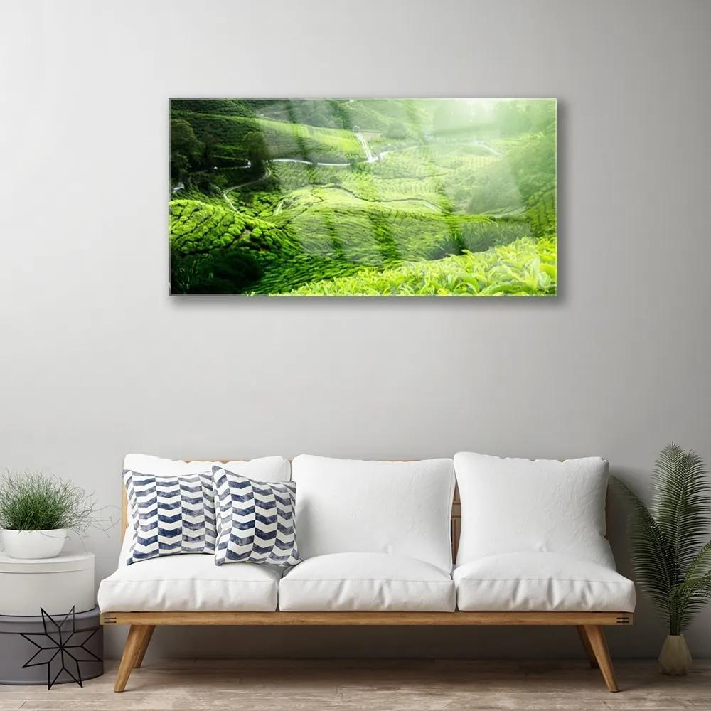 Obraz na skle Lúka príroda 140x70 cm