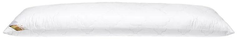 LIVARNO home Vankúš Polygiene® pre ľudí spiacich na boku, 40 x 145 cm (100365780)