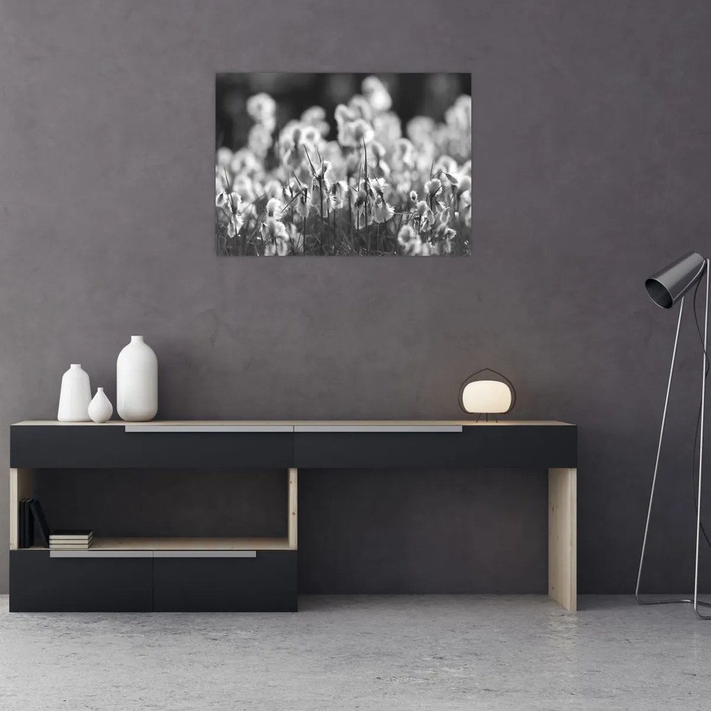 Obraz - Letná lúka (70x50 cm)