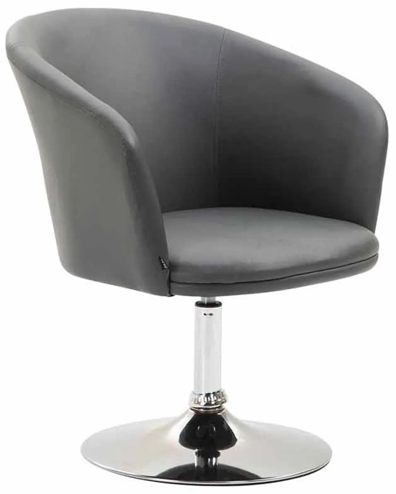 Design-Shop Kreslo Arcade lounger - Sivá