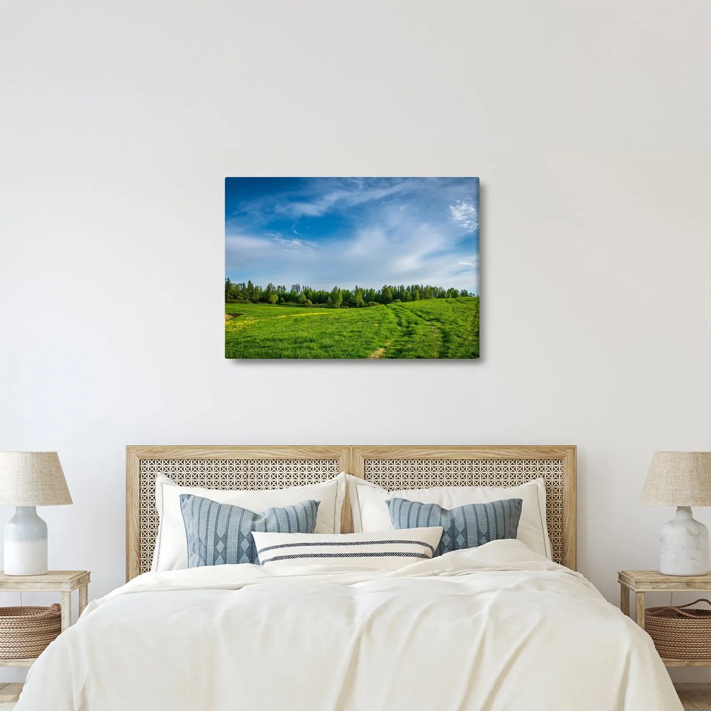 Obraz lúky (70x50 cm)