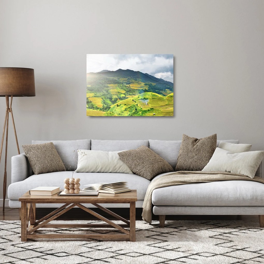 Sklenený obraz plantáže (70x50 cm)