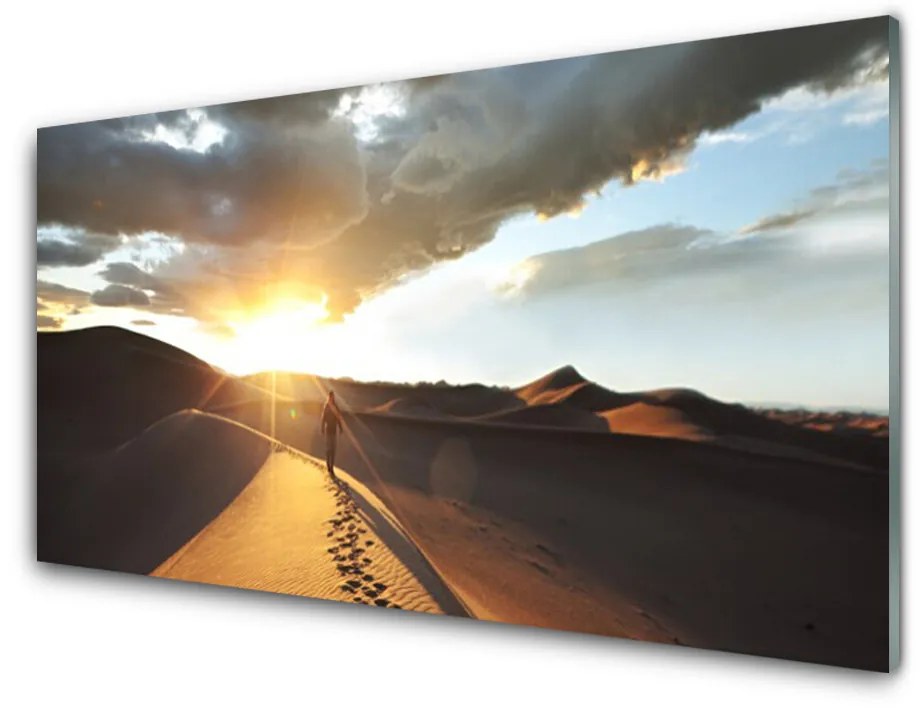 Skleneny obraz Púšť krajina 100x50cm