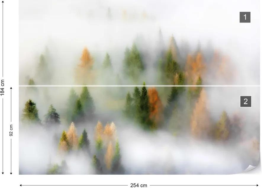 Fototapeta GLIX - Autumn Dream  + lepidlo ZADARMO Vliesová tapeta  - 254x184 cm