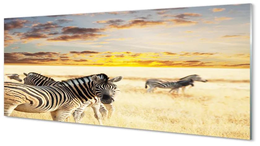 Obraz na akrylátovom skle Zebry poľa sunset 120x60 cm
