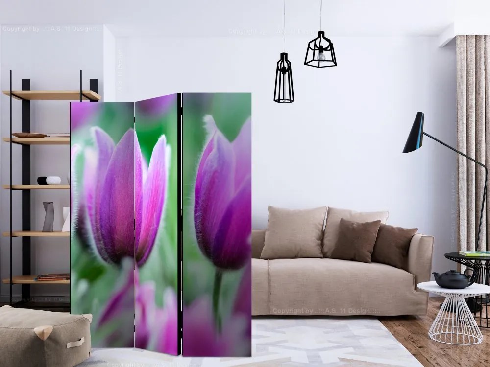 Artgeist Paraván - Purple spring tulips [Room Dividers]