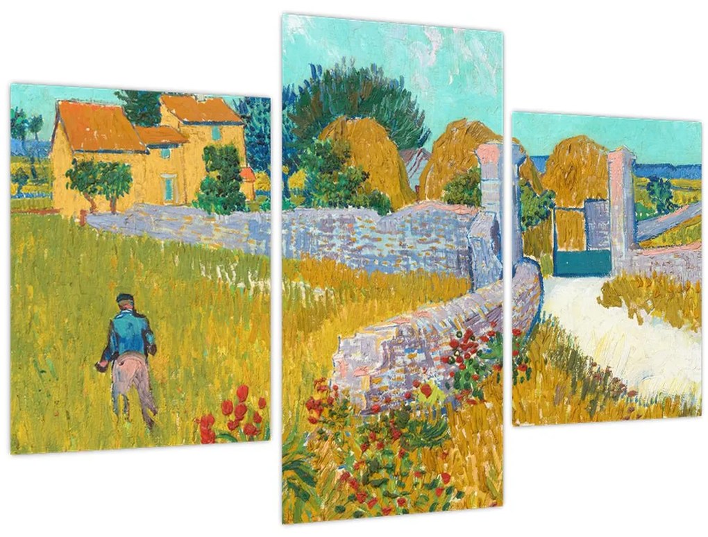 Obraz - Vincent van Gogh, Farmhouse in Provence, reprodukcia (90x60 cm)