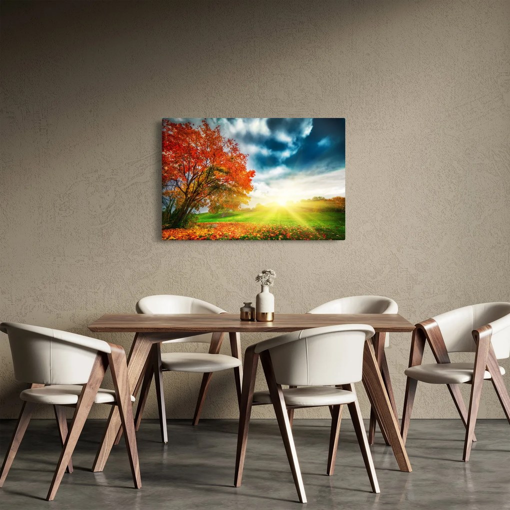 Obraz krajiny zaliate slnečným svitom (90x60 cm)