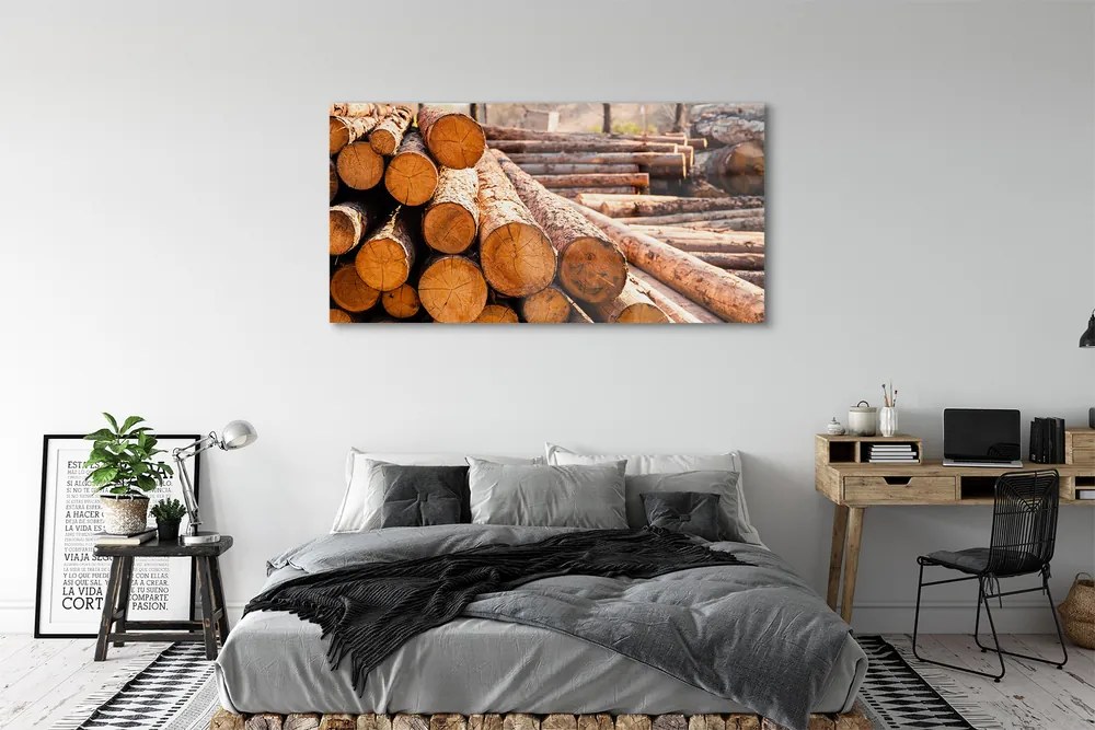 Obraz plexi Drevené guličky 140x70 cm
