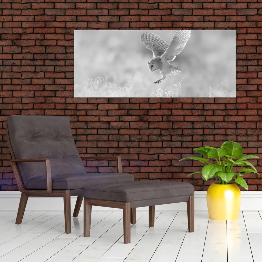 Obraz - Sova v poli (120x50 cm)