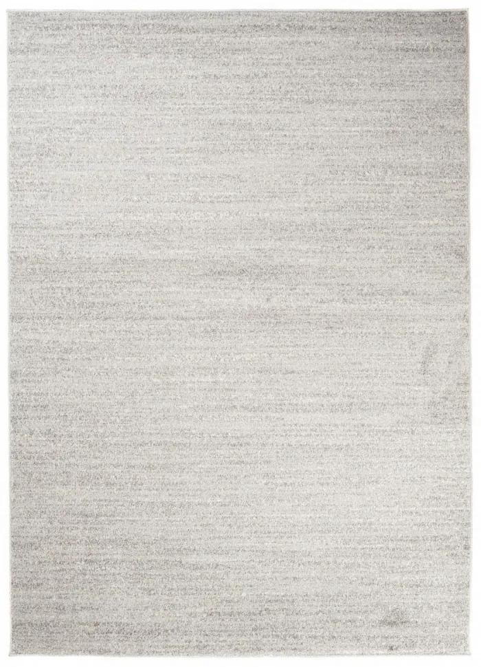 Kusový koberec Remon svetlo šedý 120x170cm