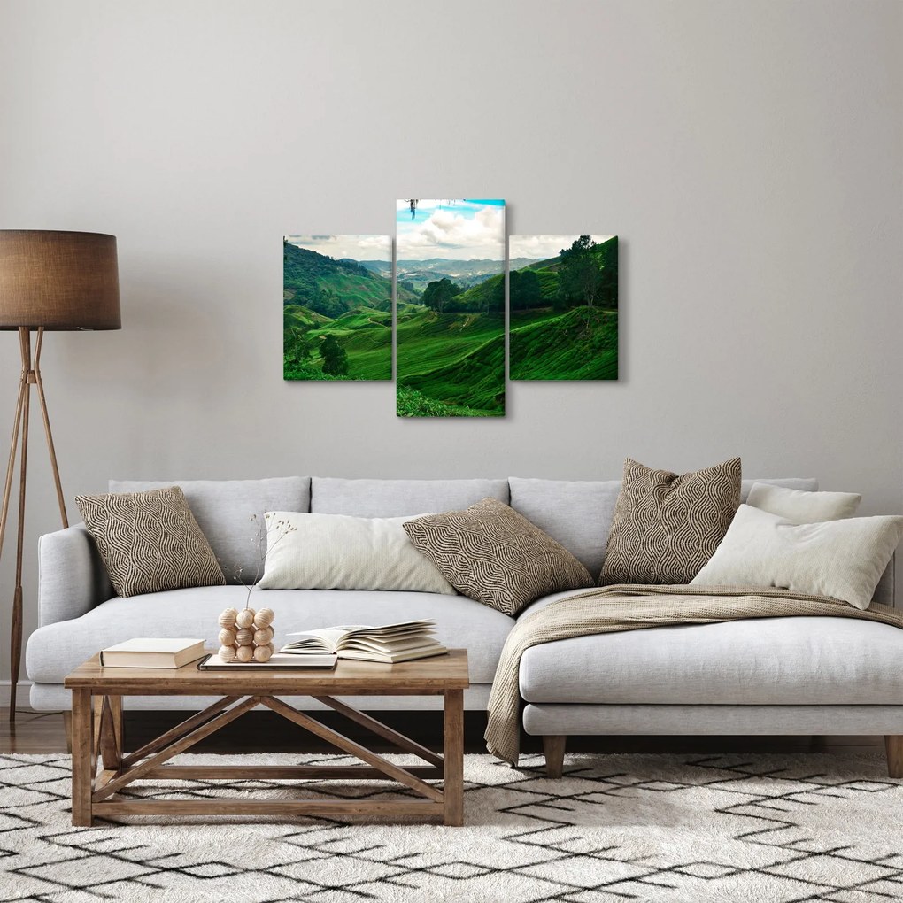 Obraz - Čajové plantáže v Malajzii (90x60 cm)