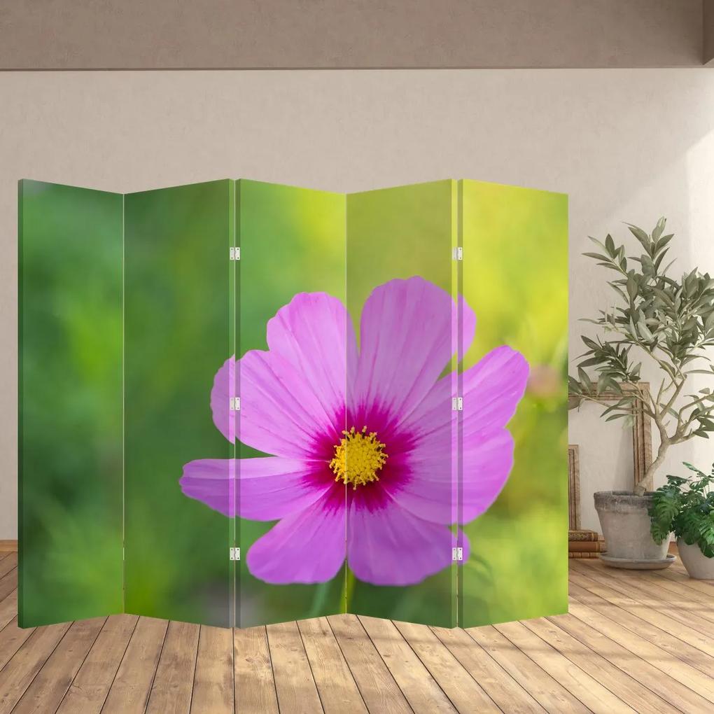 Paraván - Lúčná kvetina (210x170 cm)