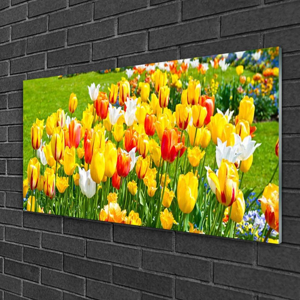 Skleneny obraz Tulipány kvety príroda 100x50 cm