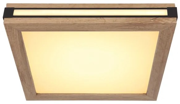 Globo 41589D1 - LED Stropné svietidlo CARLA LED/12W/230V 30x30 cm