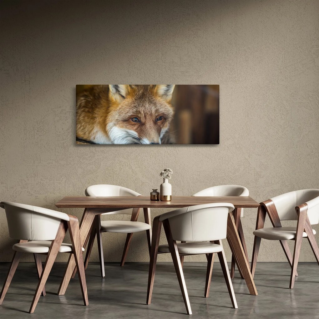 Obraz líšky (120x50 cm)