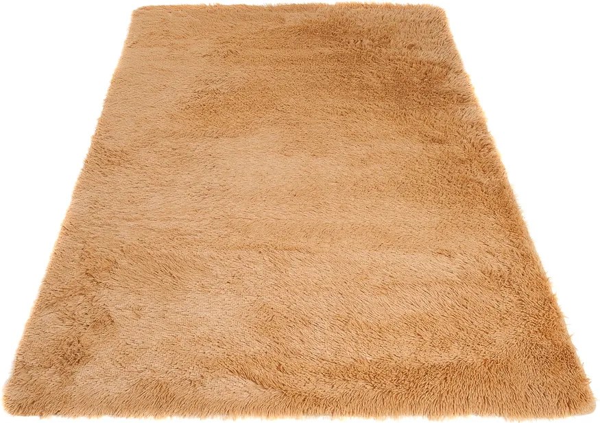 TA Koberec BEIGE BEIGE SILK Béžový Obdĺžnikový Rozmer: 120x170 cm