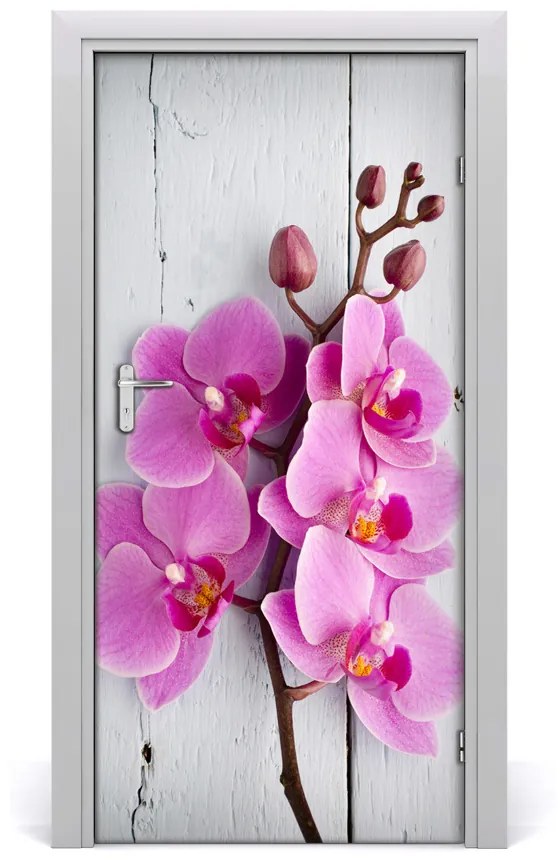 Fototapeta na dvere ružová orchidea 85x205 cm