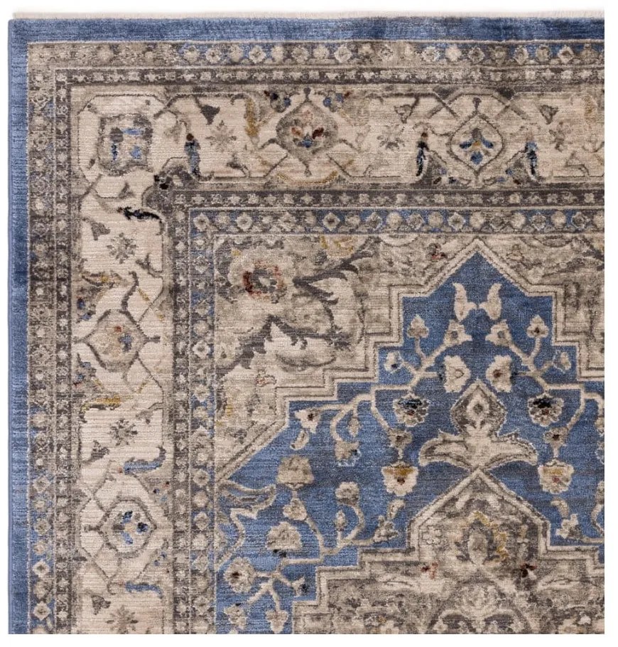 Modrý koberec 120x166 cm Sovereign – Asiatic Carpets