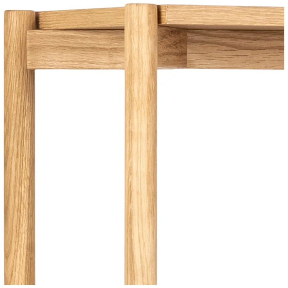 Dubová knižnica Actona Braidwood