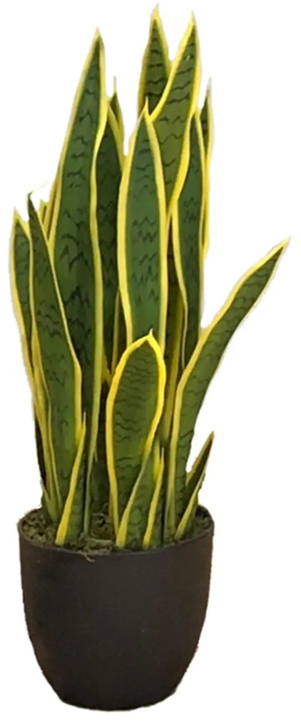 Artificial plant Sansewieria Laurentii 65cm