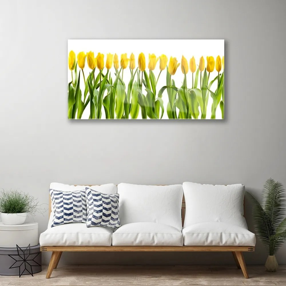 Skleneny obraz Tulipány kvety príroda 100x50 cm