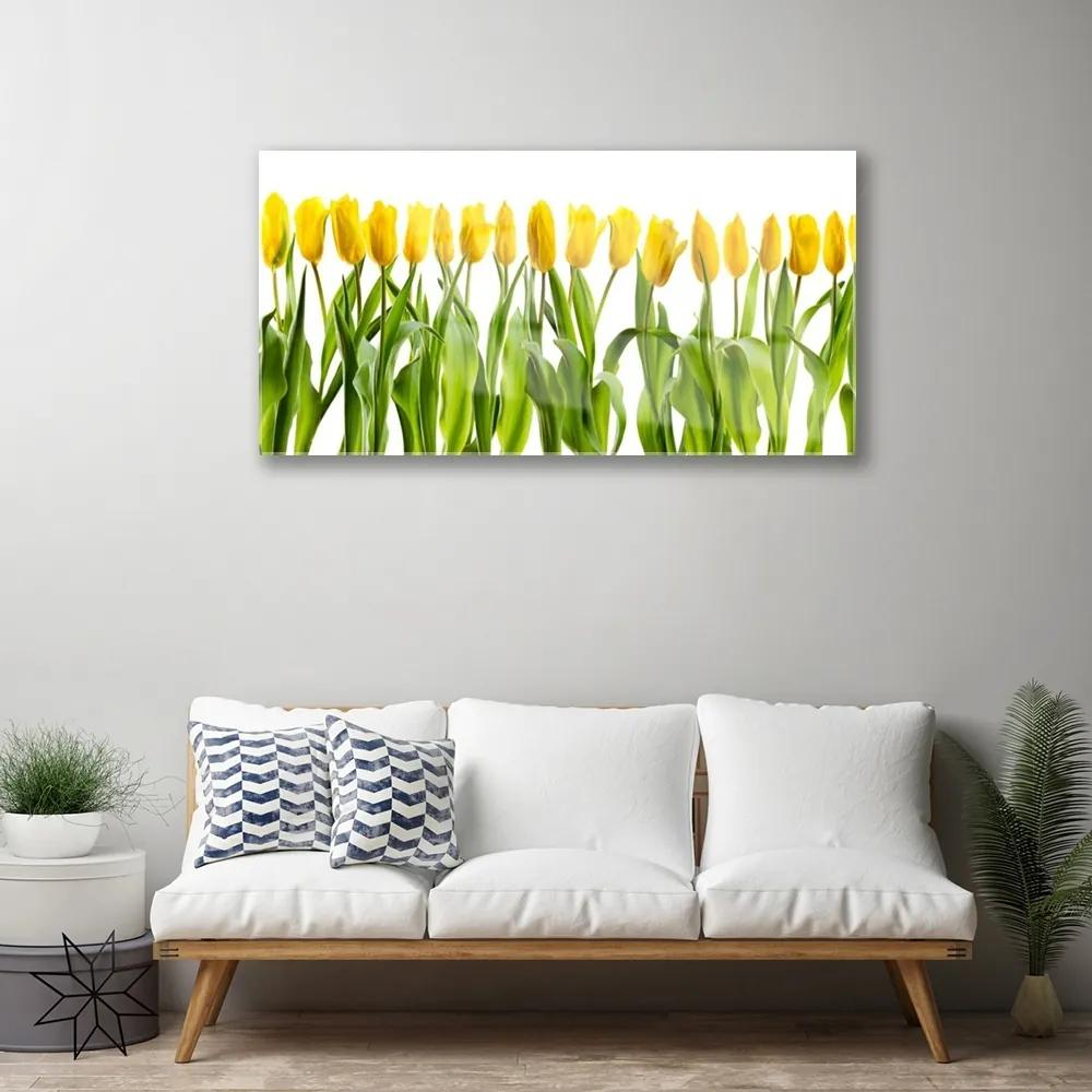 Skleneny obraz Tulipány kvety príroda 140x70 cm