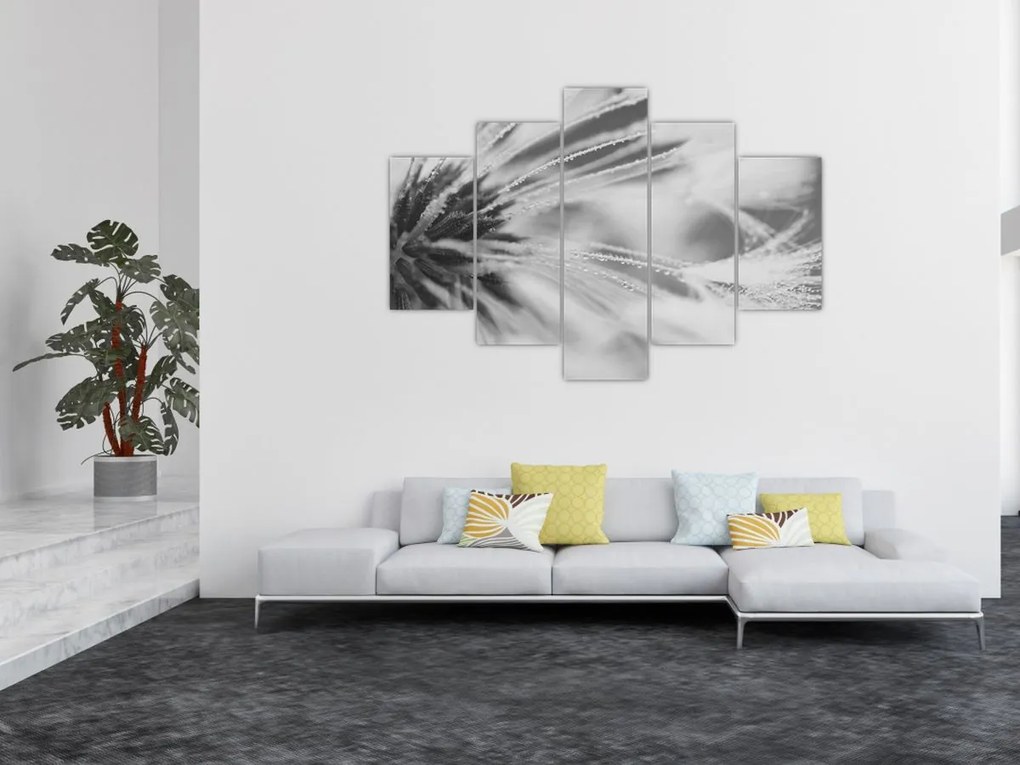 Obraz - Púpava (150x105 cm)