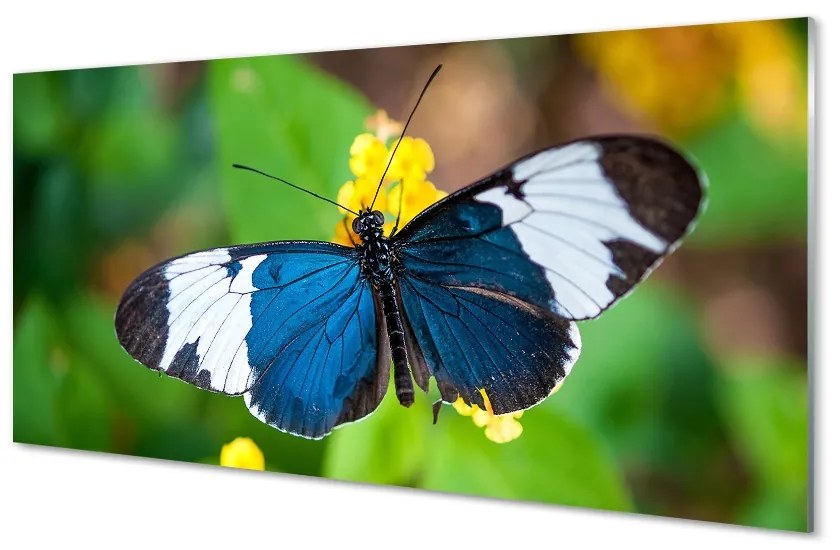 Sklenený obraz Farebný motýľ na kvety 120x60 cm