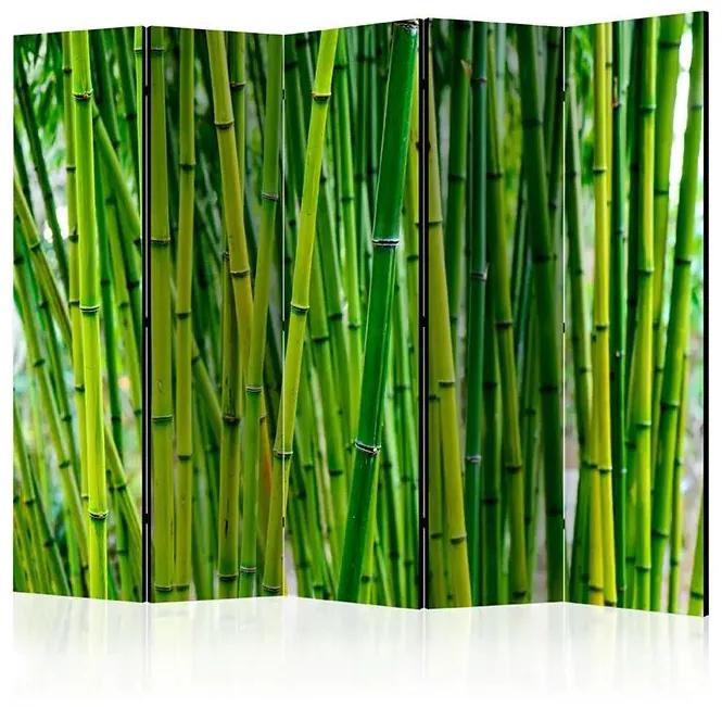 Paraván - Bamboo Forest II [Room Dividers] Veľkosť: 225x172, Verzia: Jednostranný