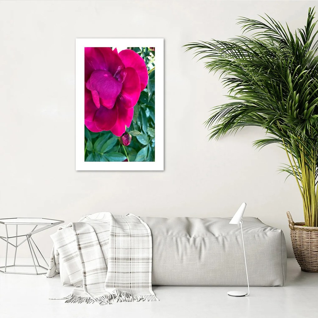 Gario Plagát Ružový veľký kvet Farba rámu: Bez rámu, Rozmery: 60 x 90 cm