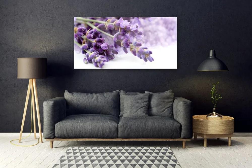 Obraz plexi Kvety príroda rastlina 120x60 cm