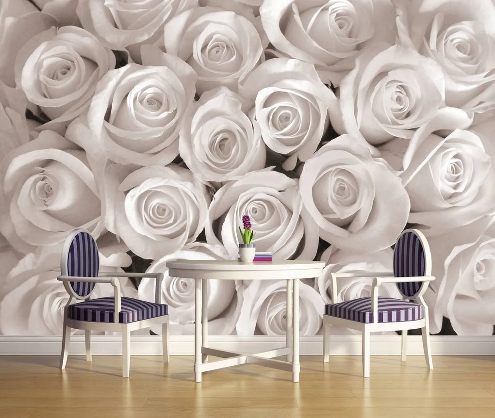 Fototapeta - Biele ruže (254x184 cm)
