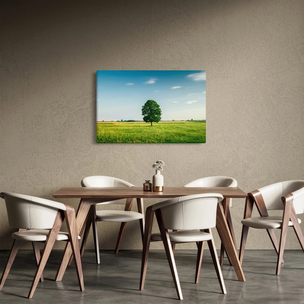 Obraz stromu uprostred lúky (90x60 cm)