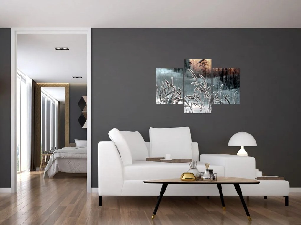 Obraz - Zamrznutá lúka (90x60 cm)