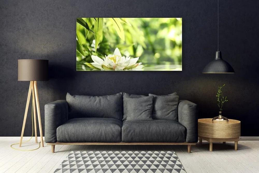 Obraz na akrylátovom skle Kvet listy 120x60 cm