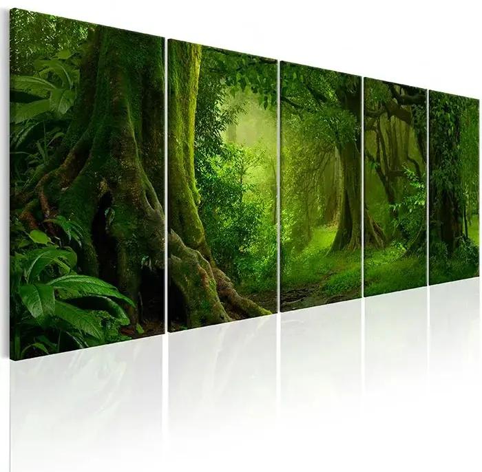 Obraz - Tropical Jungle Veľkosť: 225x90, Verzia: Na talianskom plátne