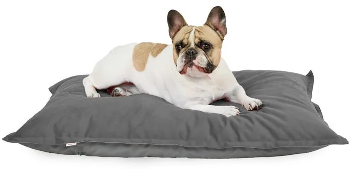 Peliešok pre psa Plyš Farba: Bežový, Veľkosť: 50x70 cm