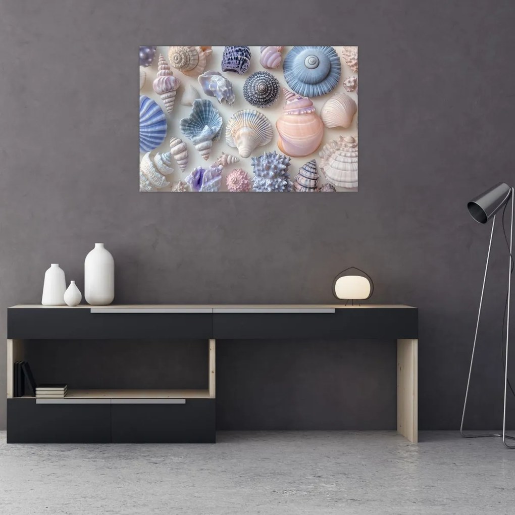 Obraz - Zbierka mušlí (90x60 cm)